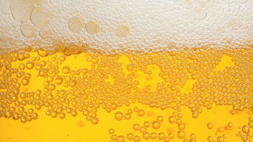 pivo