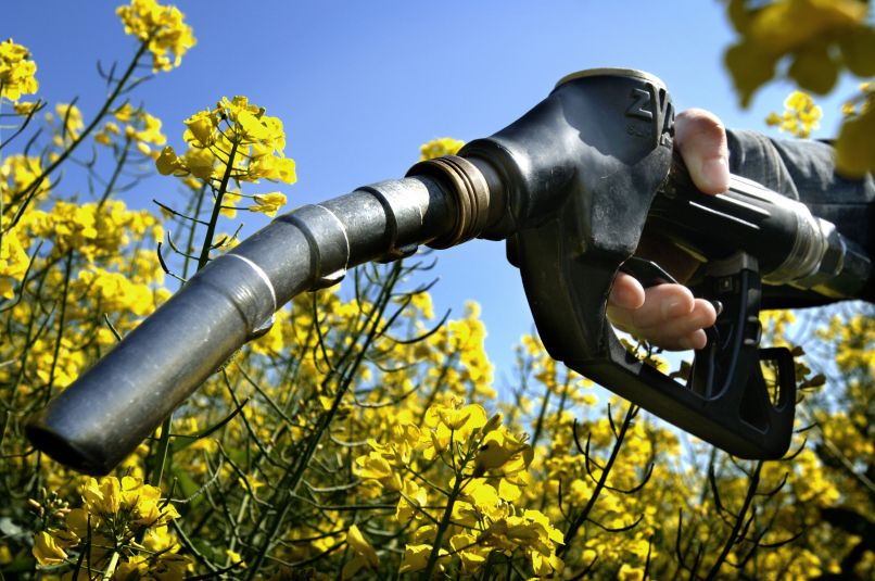 biofuel