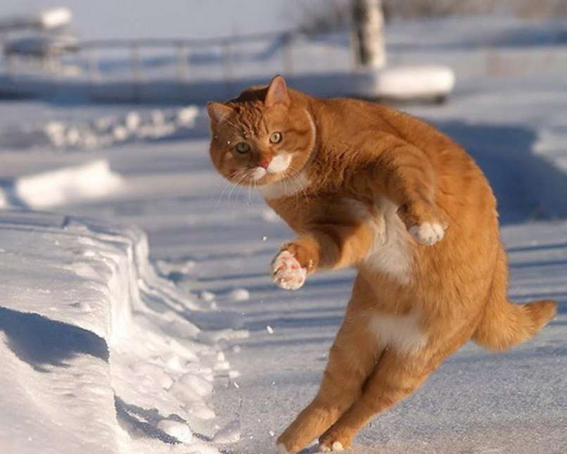 Preprosto ...ninja