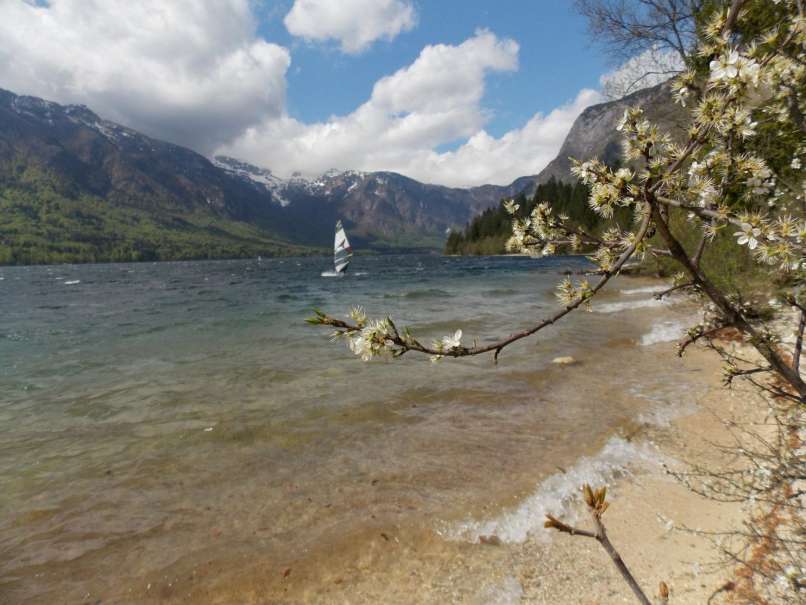 surfer,bohinjsko jezero