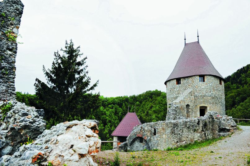zovnek3