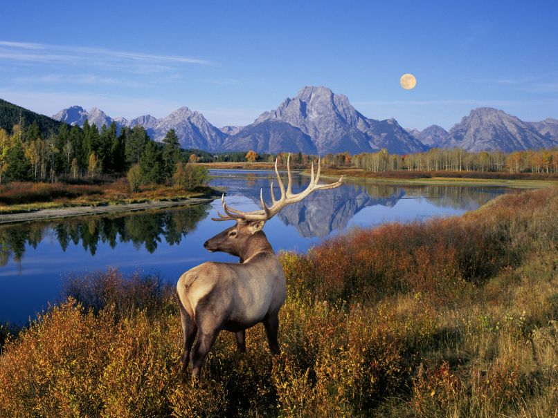 Yellowstone