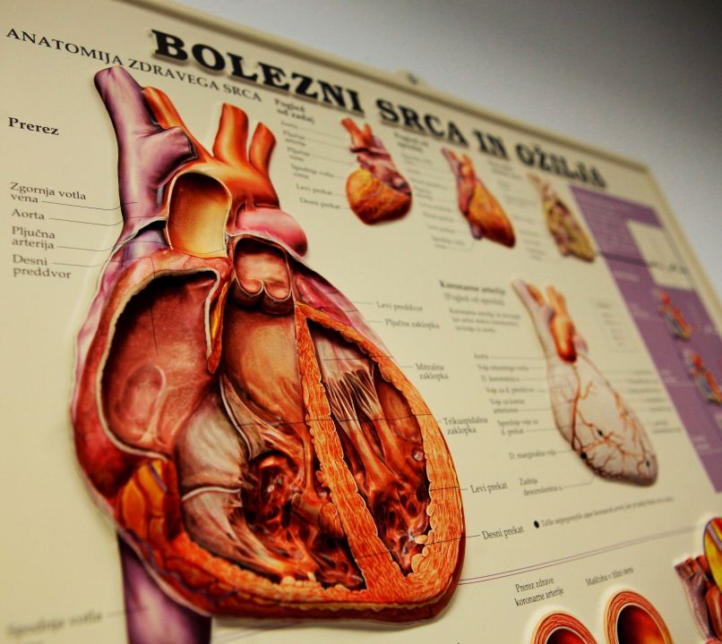 Srce, bolezni srca
