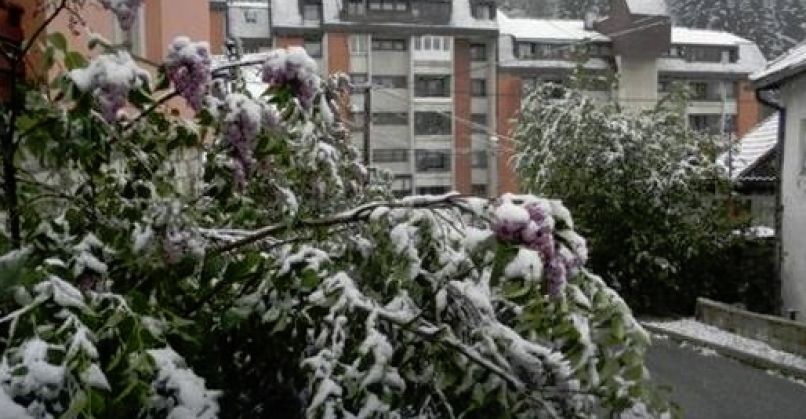 nova varoš
