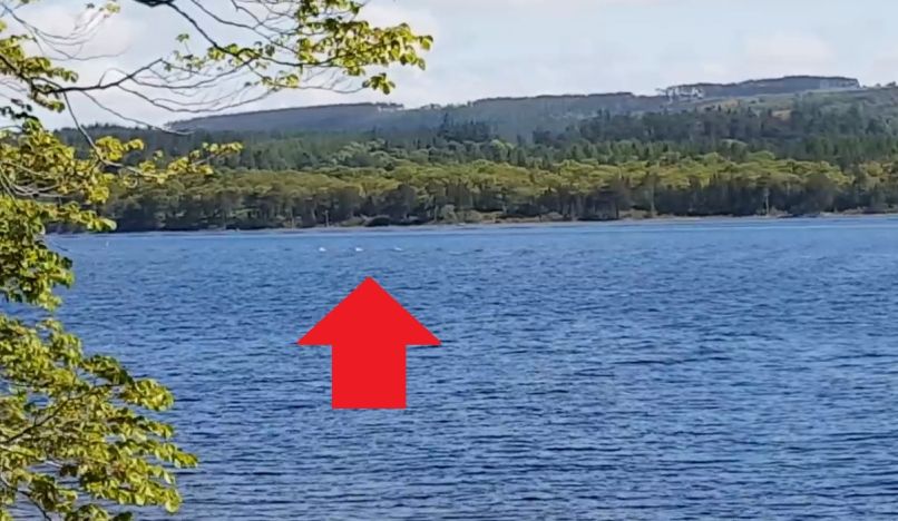 Nessie
