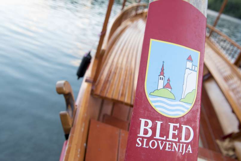 7697 bled