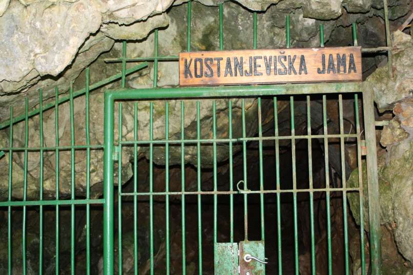 Kostanjeviška jama