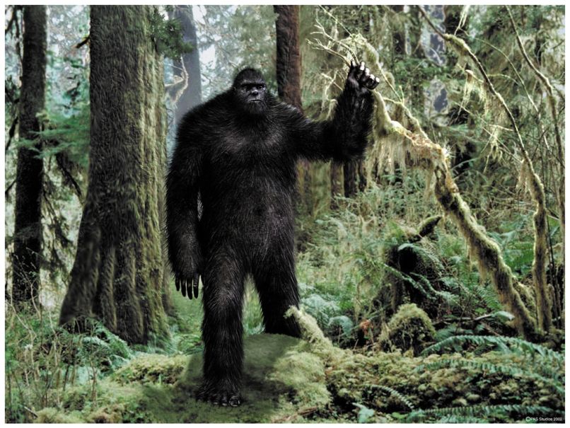 bigfoot 1