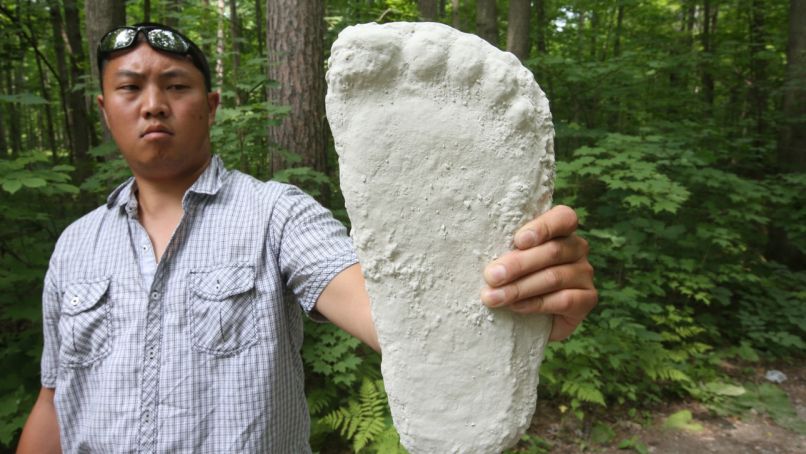 bigfoot