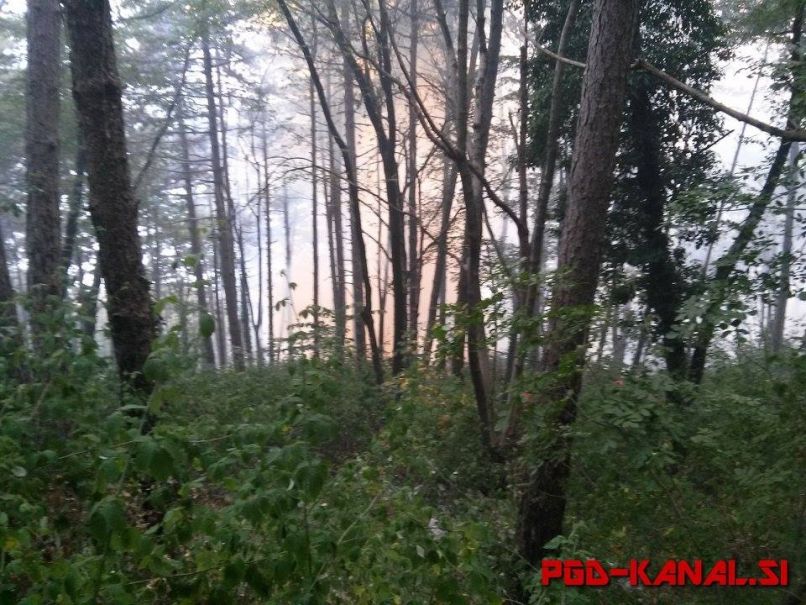 Požar, ogenj, Sveta Gora 8