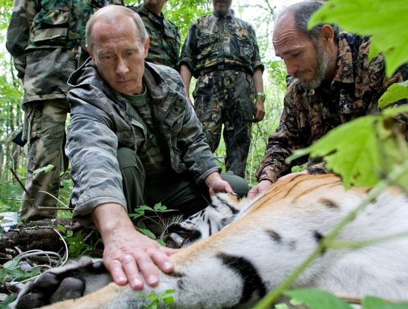 putin tiger