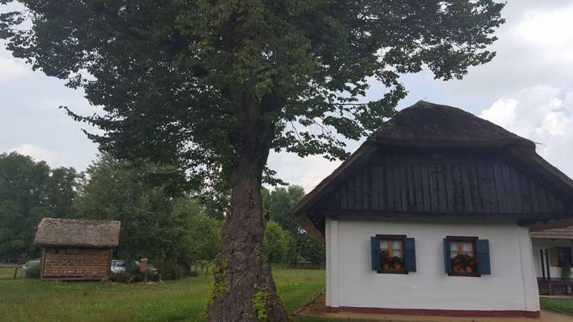 Edinstveni na svetu – 4