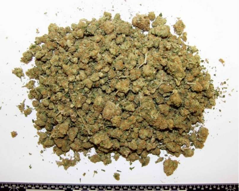 konoplja 1