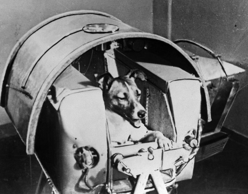 35_sputnik2