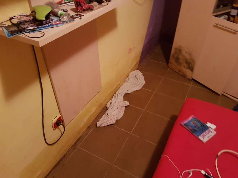 ZIMA JE PRED VRATI, ONI PA SE VEDNO V VLAZNI KLETI – 3
