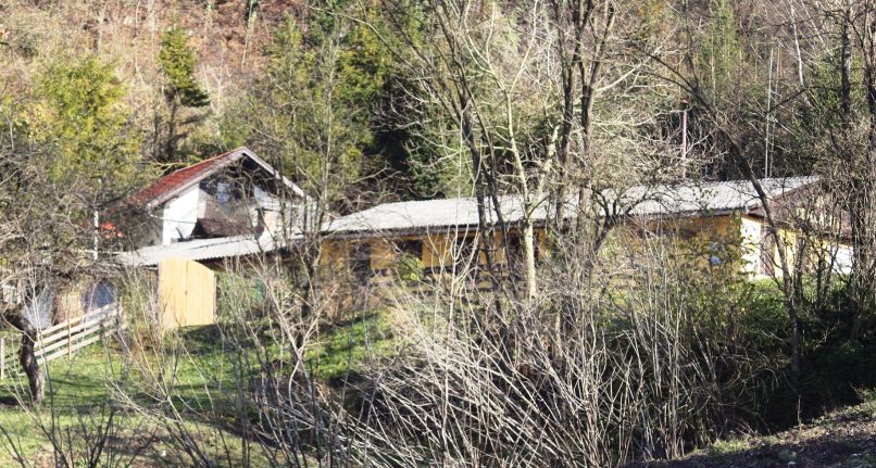 hrastnik 1