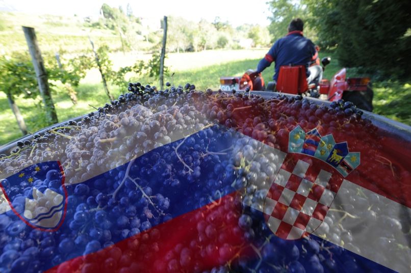 Se bo zgodba s teranom končala na sodišču?