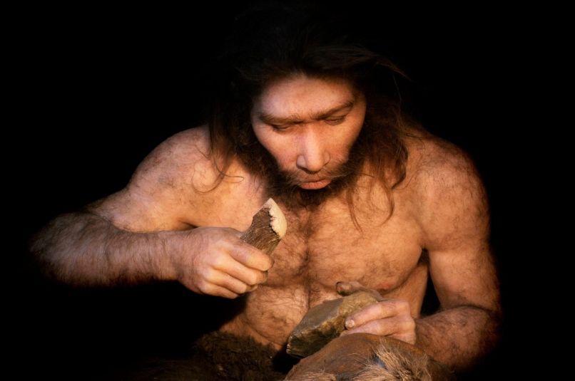 neandertalec, model, voščena lutka, muzej