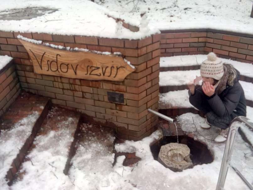 vidov izvir