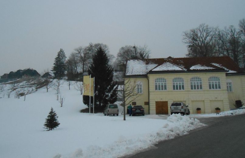Istenicevi