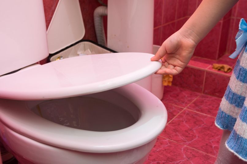 wc
