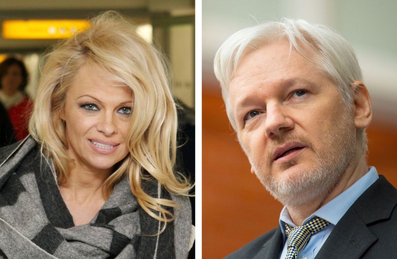 Pamela Anderson, Julian Assange