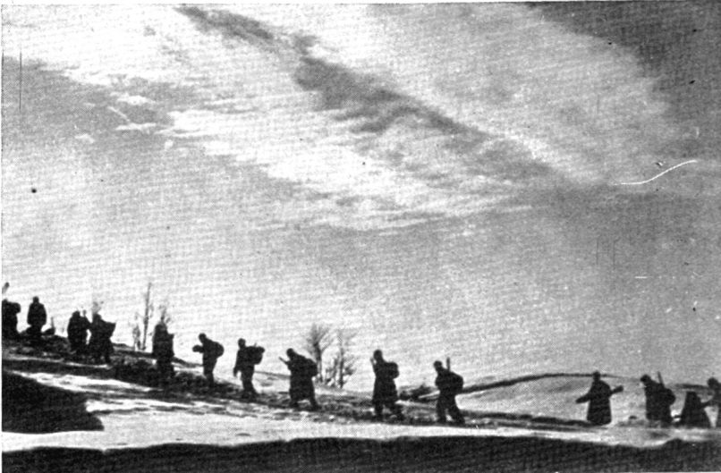 Slovenski partizani
