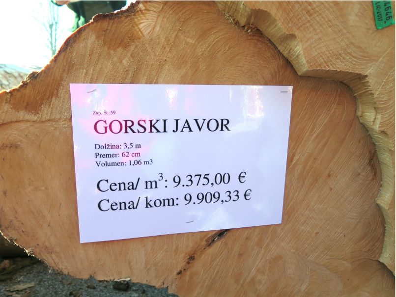 licitacija lesa, Slovenj Gradec