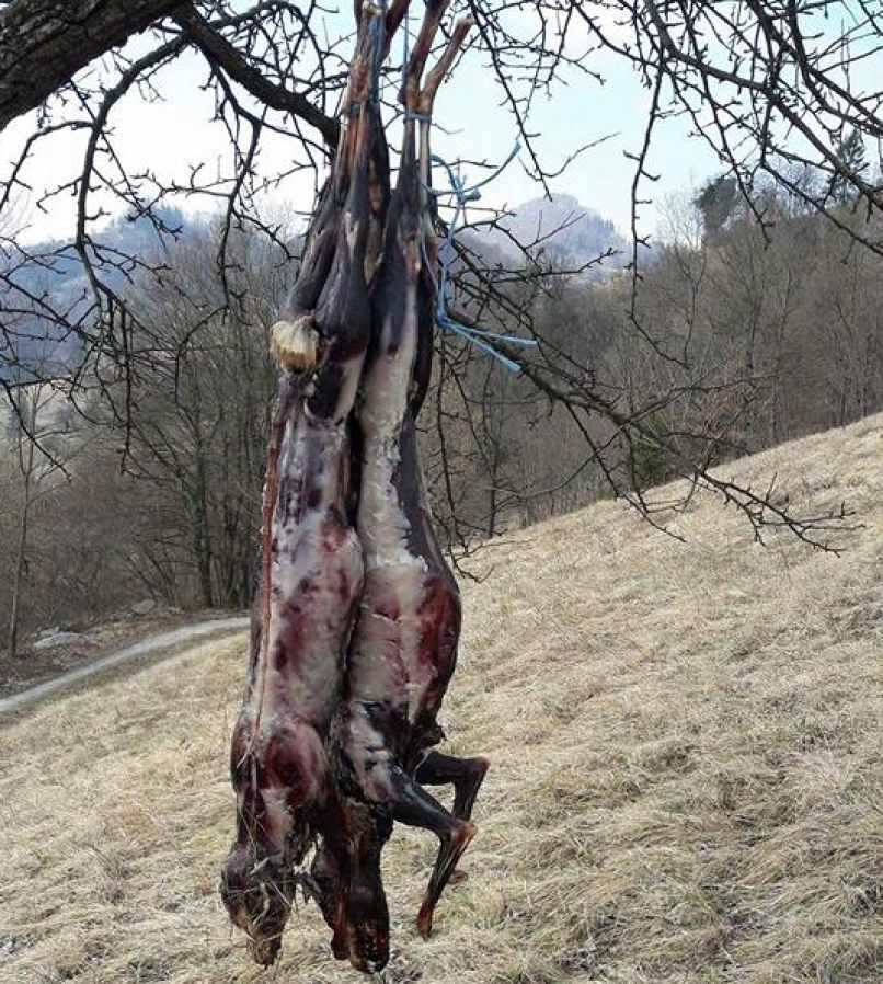 Šokantno odkritje