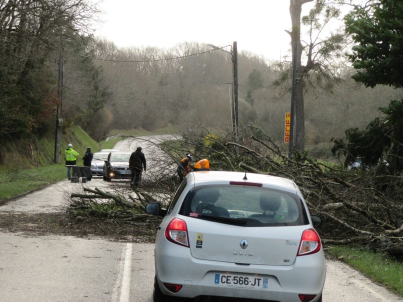 posledice neurja, Francija, podrta drevesa,