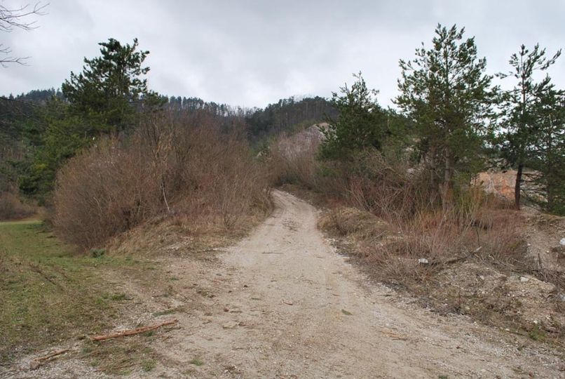 planinska gora
