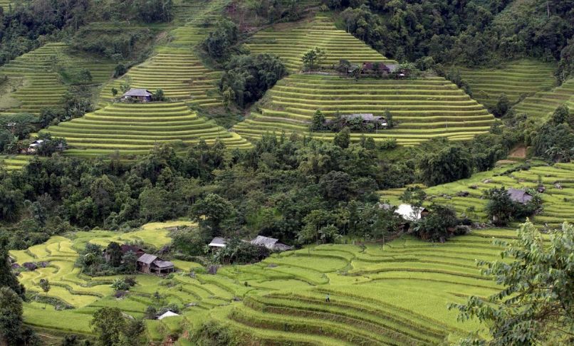 vietnam