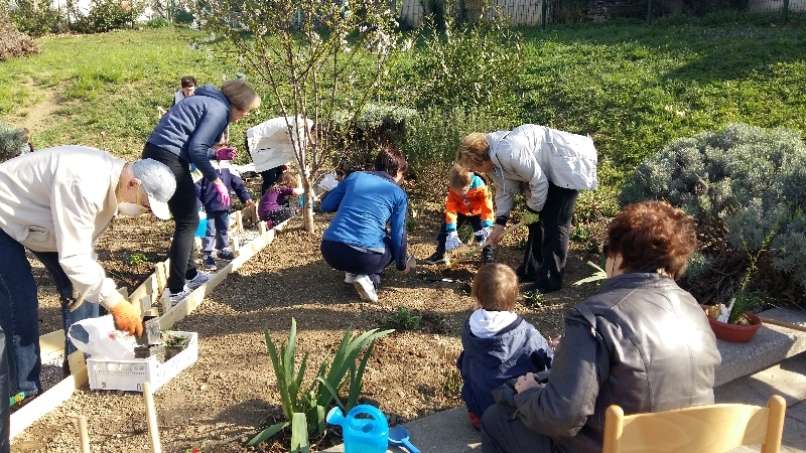 Malčki so posejali grah, sončnice, paradižnik in še mnogo drugih rastlin