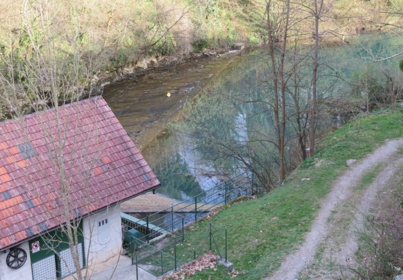 lahinja