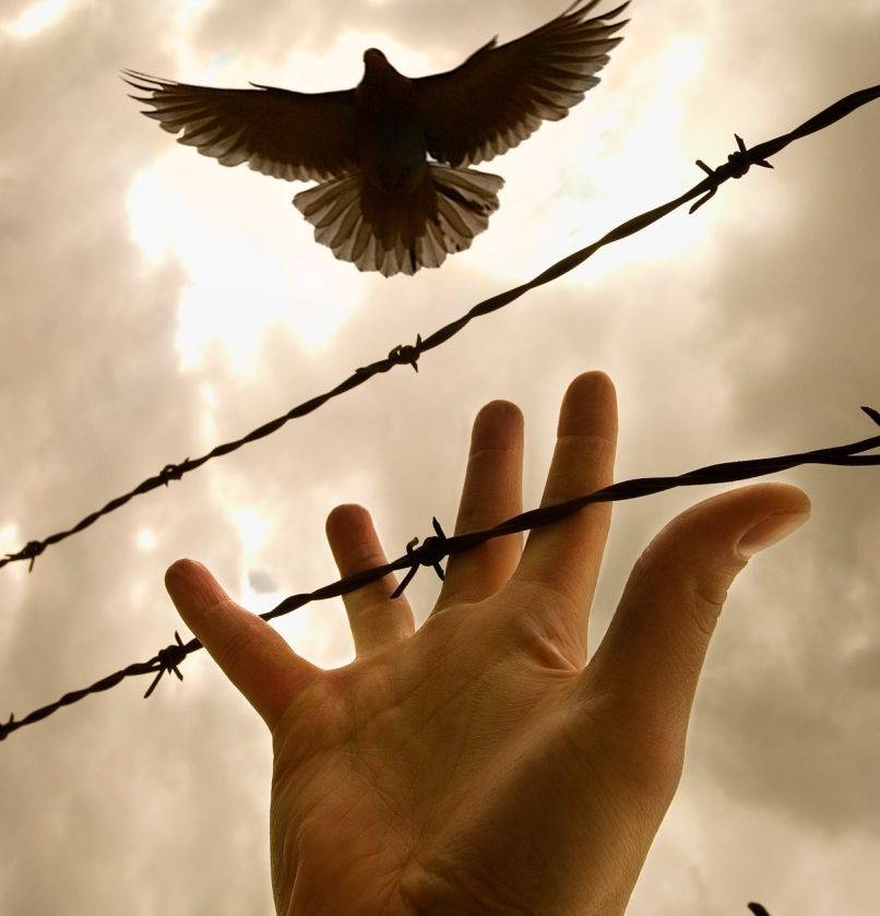 zapor, pripor, zaprt, svoboda