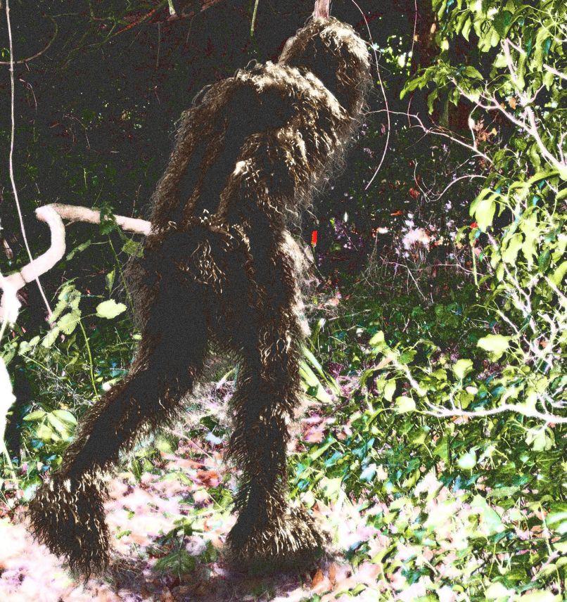 jeti, big foot
