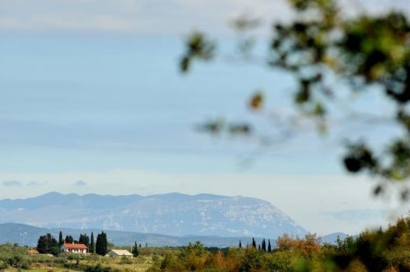 Primorska