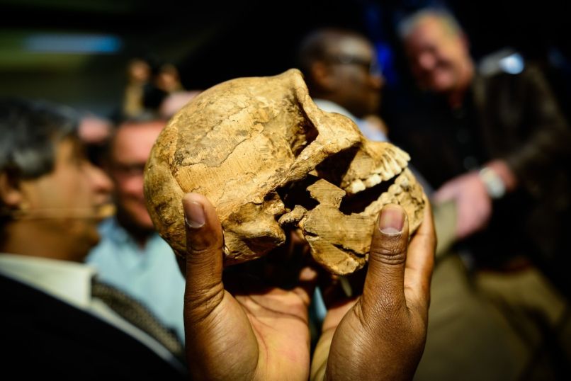 lobanja, Homo naledi, prednik primitivnega človeka