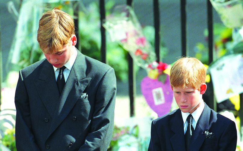 william in harry 22_7 100