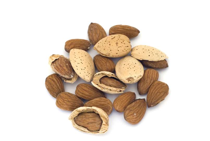 mandlji