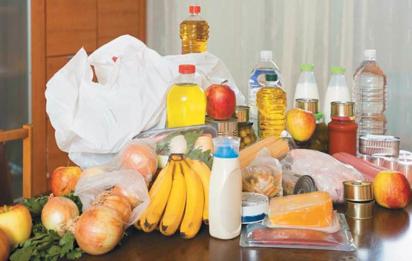 plastika zastruplja