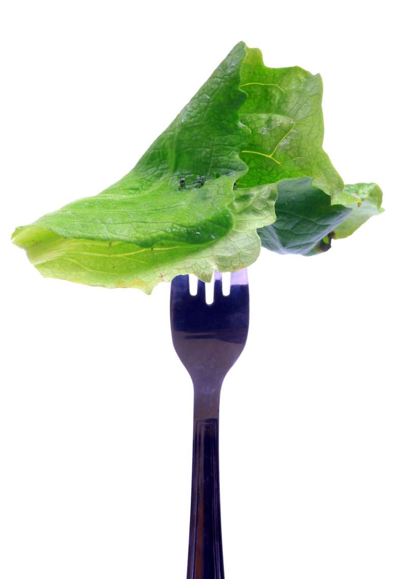 solata