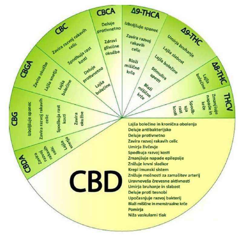 hempmedico2
