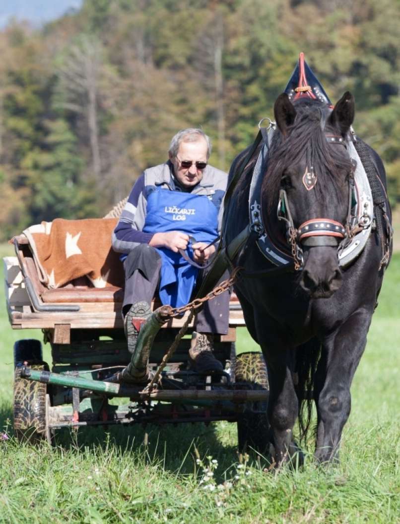 ličkanje