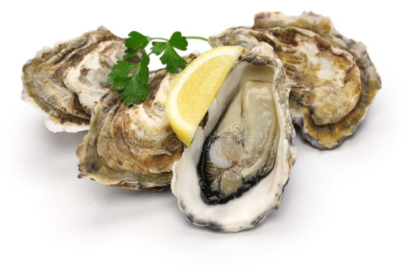 fresh-oysters-isolated-white-background-67004789