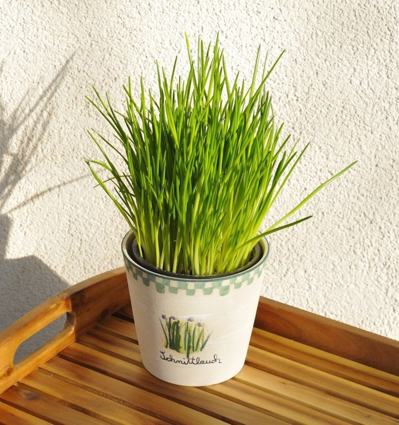 drobnjak