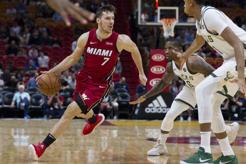 goran dragic pm