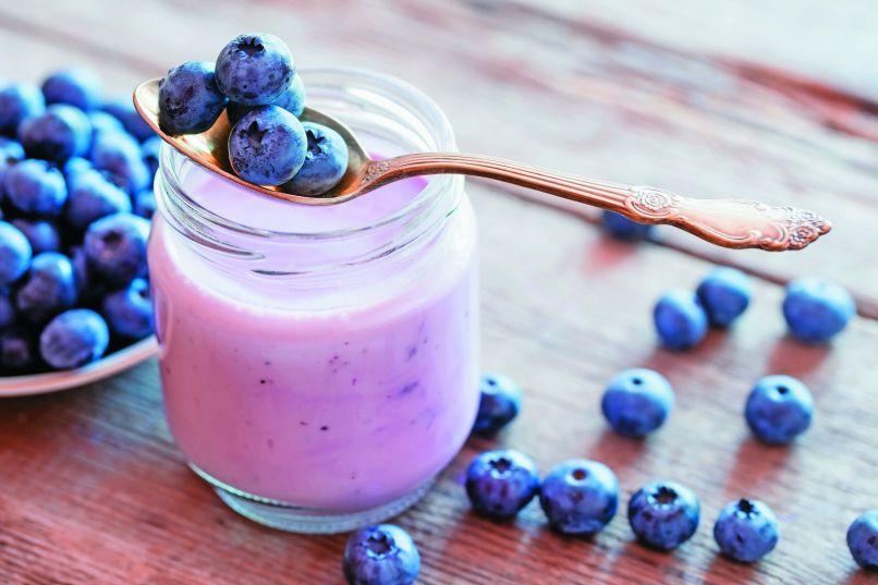 zajtrki jogurt z borovnicami