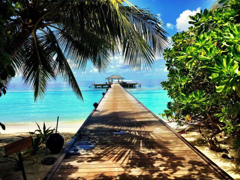 maldivi