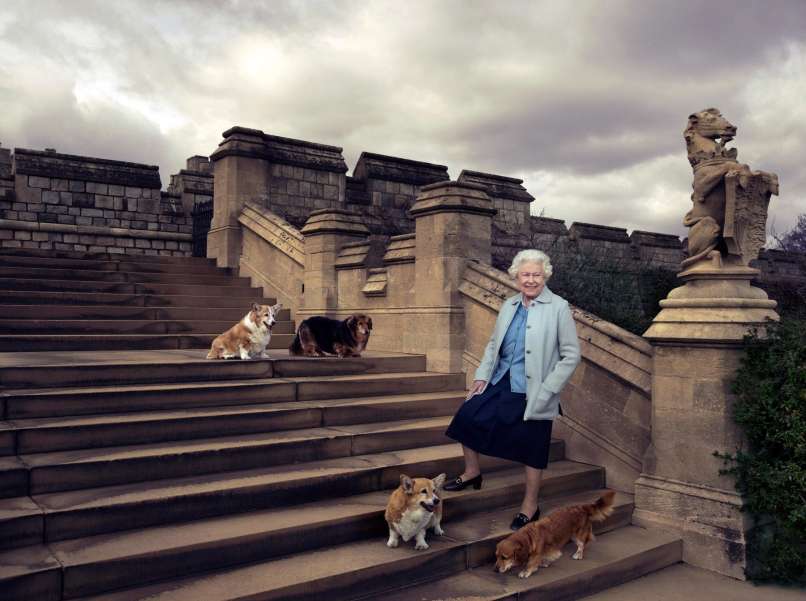 kraljica elizabeta_corgi